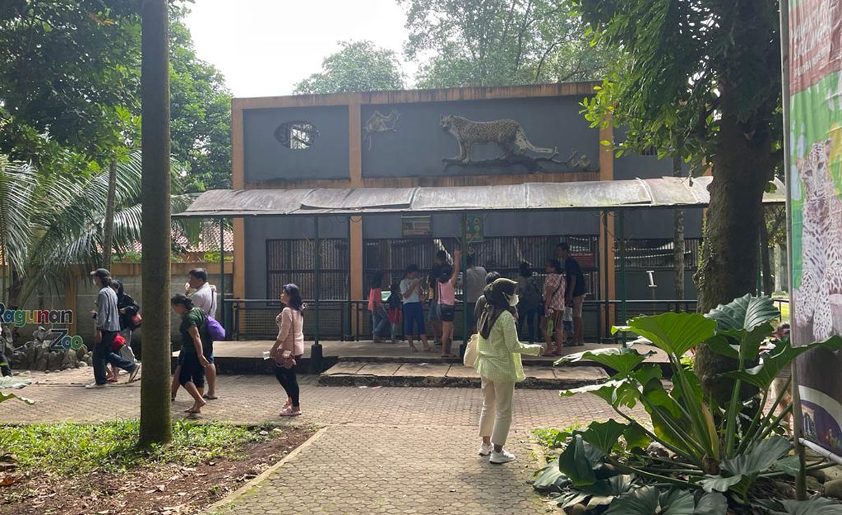 KB-Ragunan-co