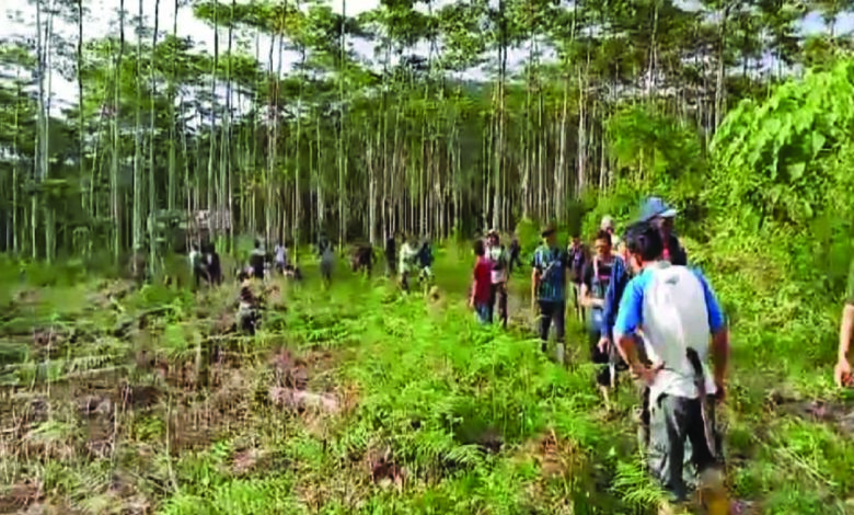 komnas