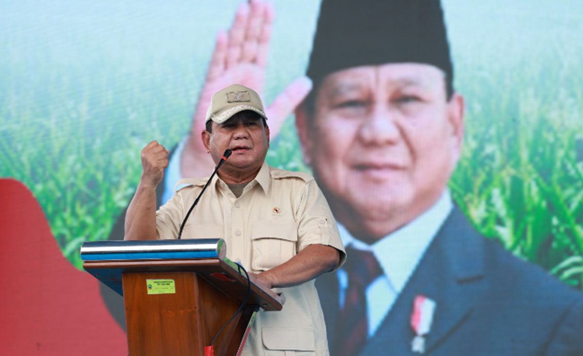 Bantuan-Benih-Jagung-co