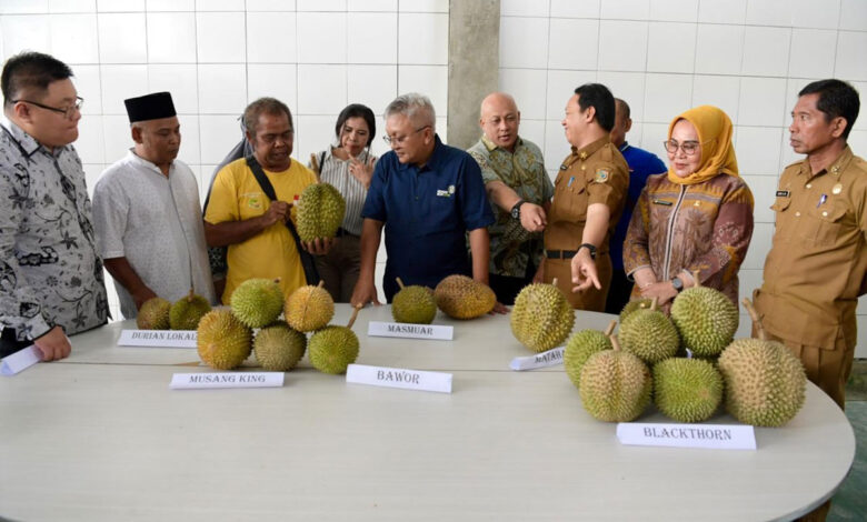 Ekspor-Durian-co