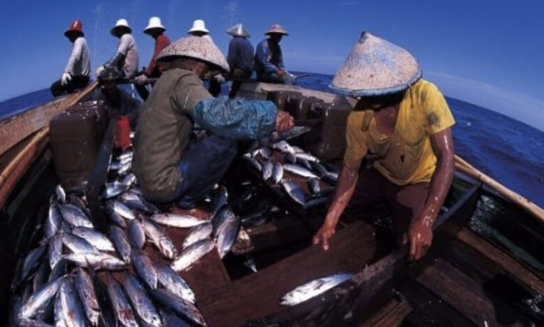 Menangkap-Ikan-co