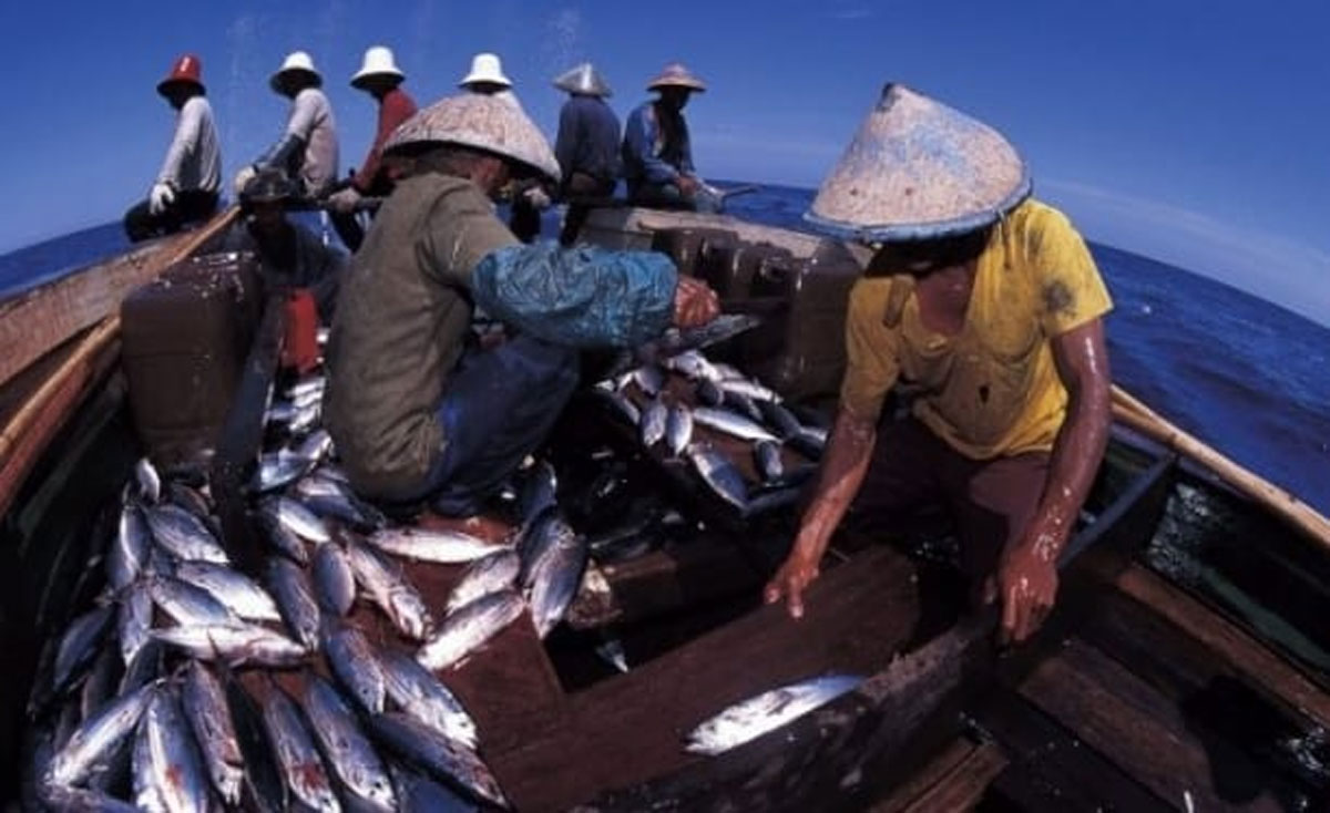 Menangkap-Ikan-co