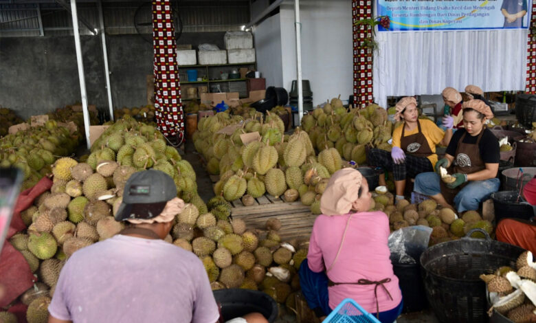 Pelaku-Usaha-Durian-co