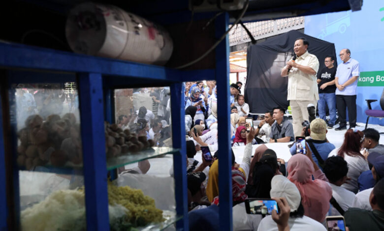 Program-Prabowo-co