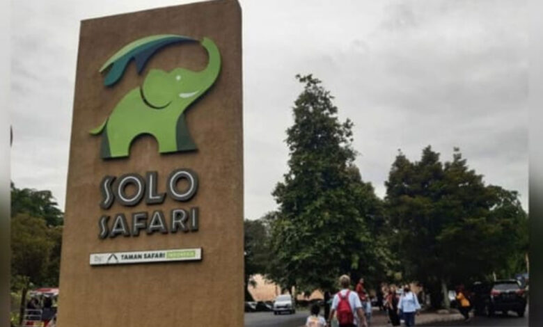 Solo-Safari-co