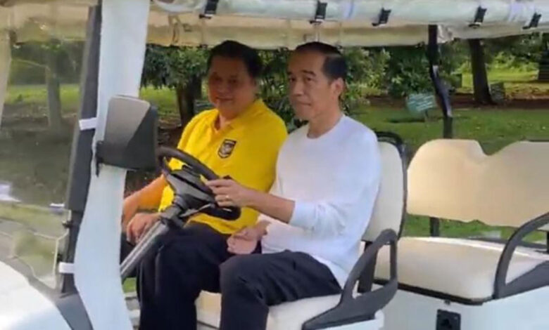 mobil-golf-buggy
