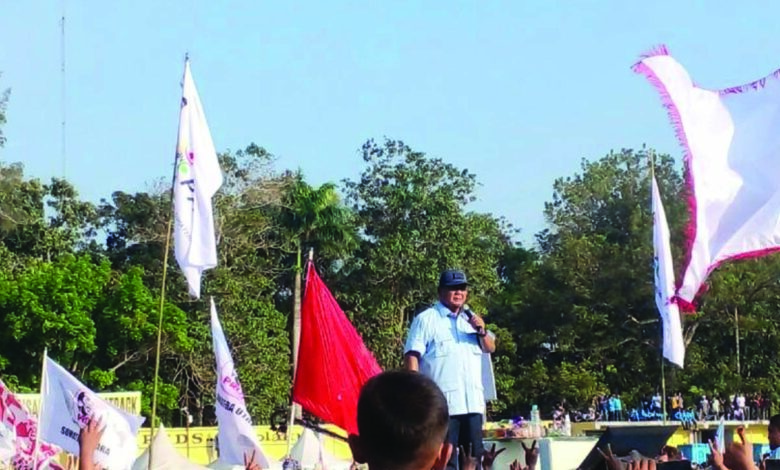 bowo