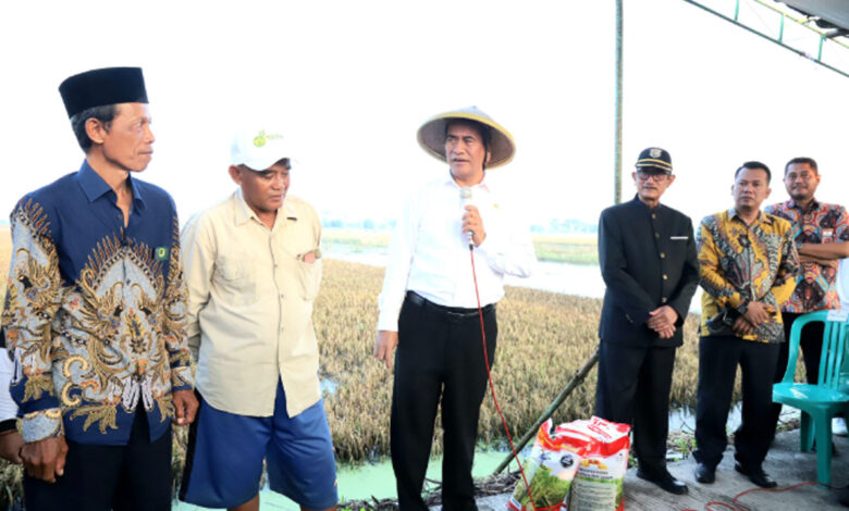Kabupaten-Kendal-co
