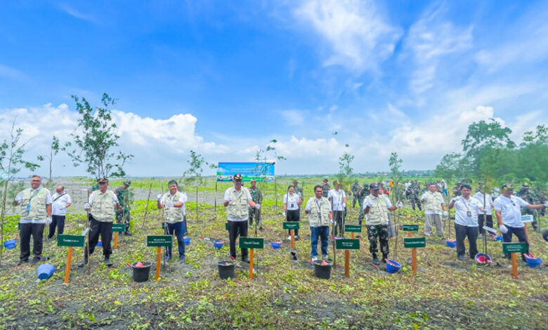 Pohon-Cemara-Laut-co