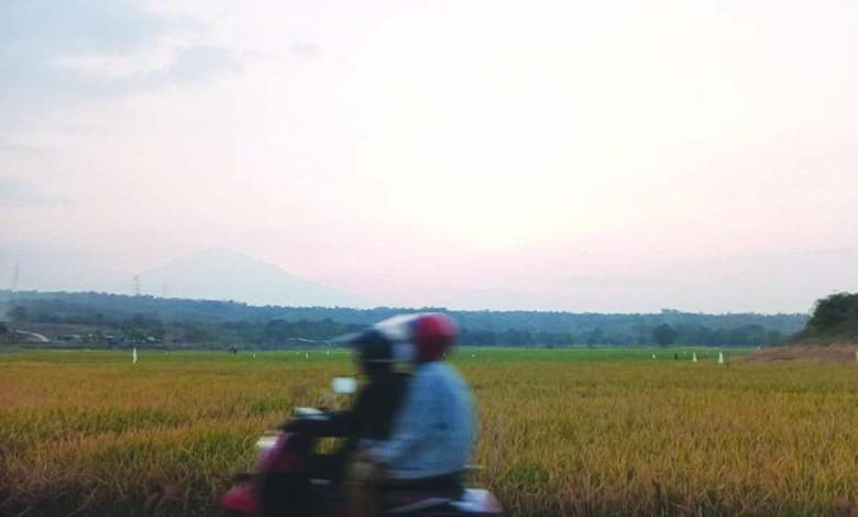cirebon