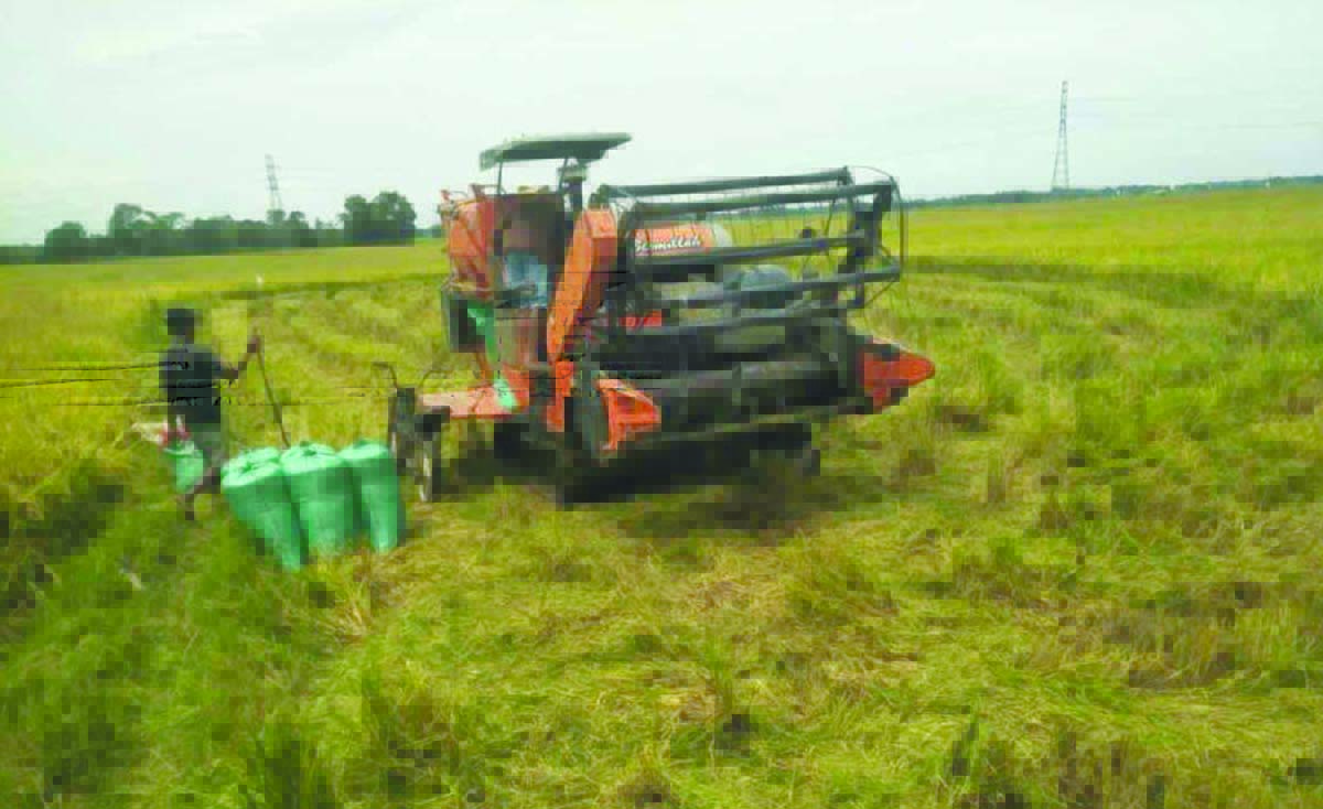 mesin padi