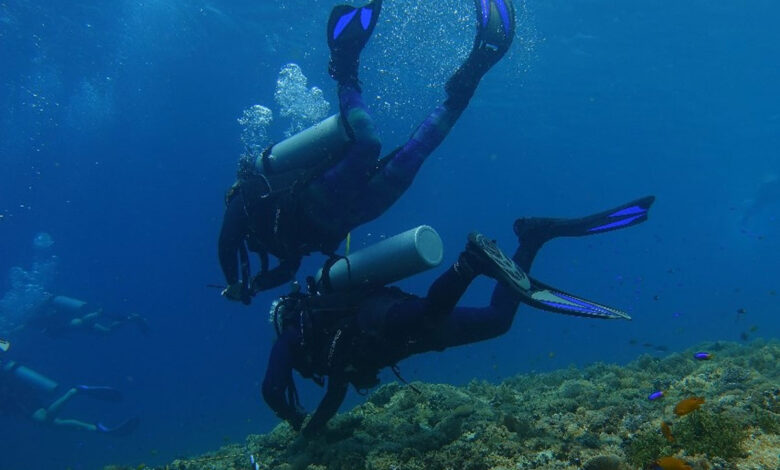 Ekosistem-Bawah-Laut-co