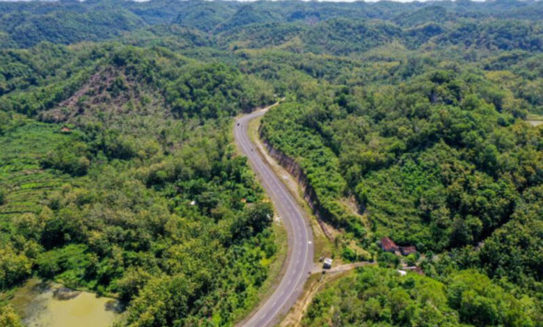 Jalan-Pansela-Jawa