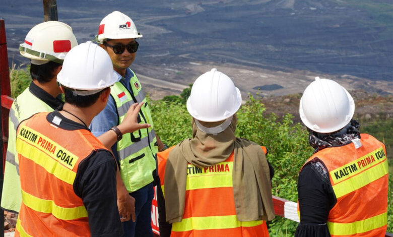 Pit-Bintang-co