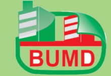logo-BUMD-co