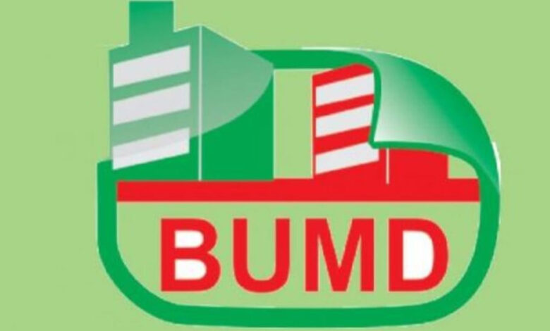 logo-BUMD-co