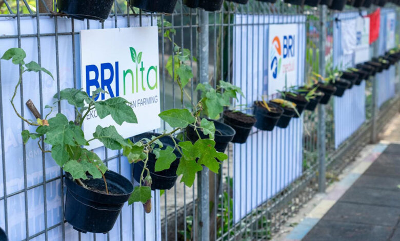 Grow-n-Green-co