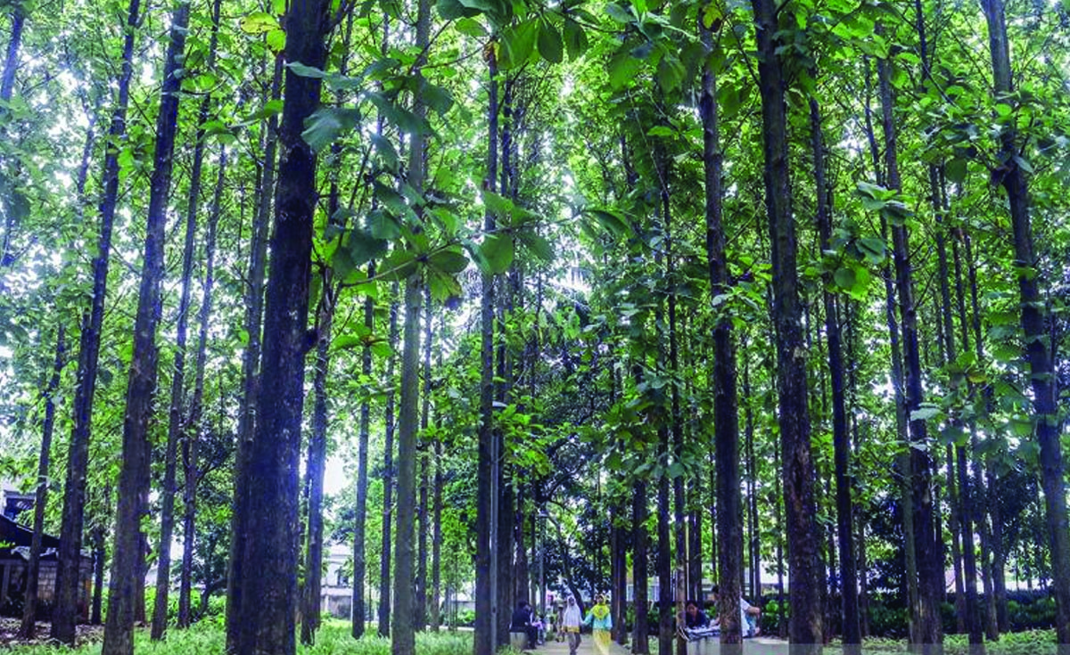 udara