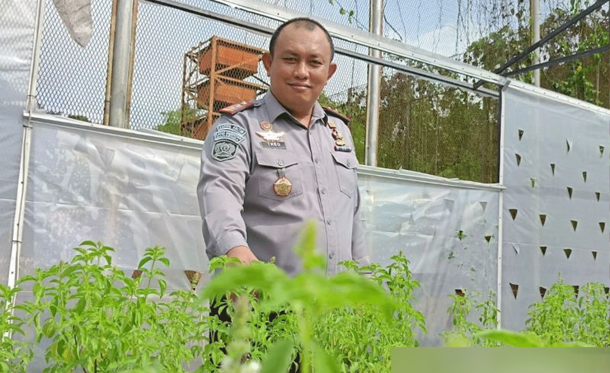 Theo-Purba