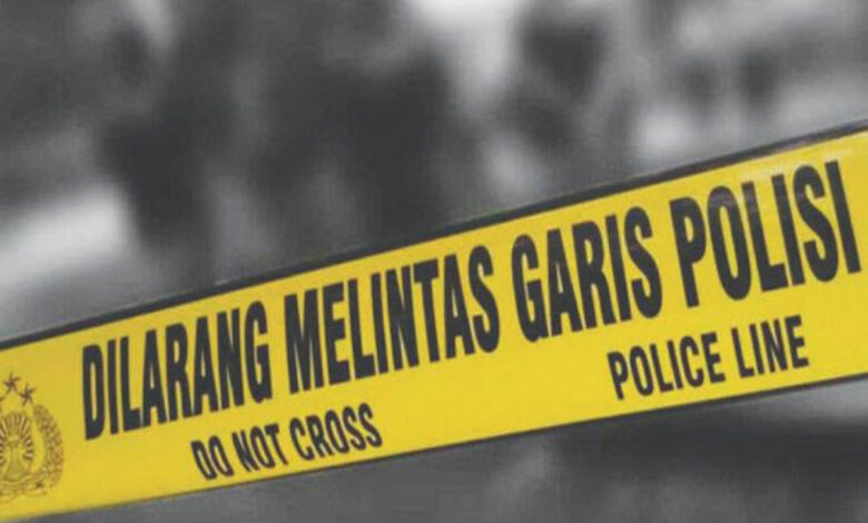 Garis-Polisi