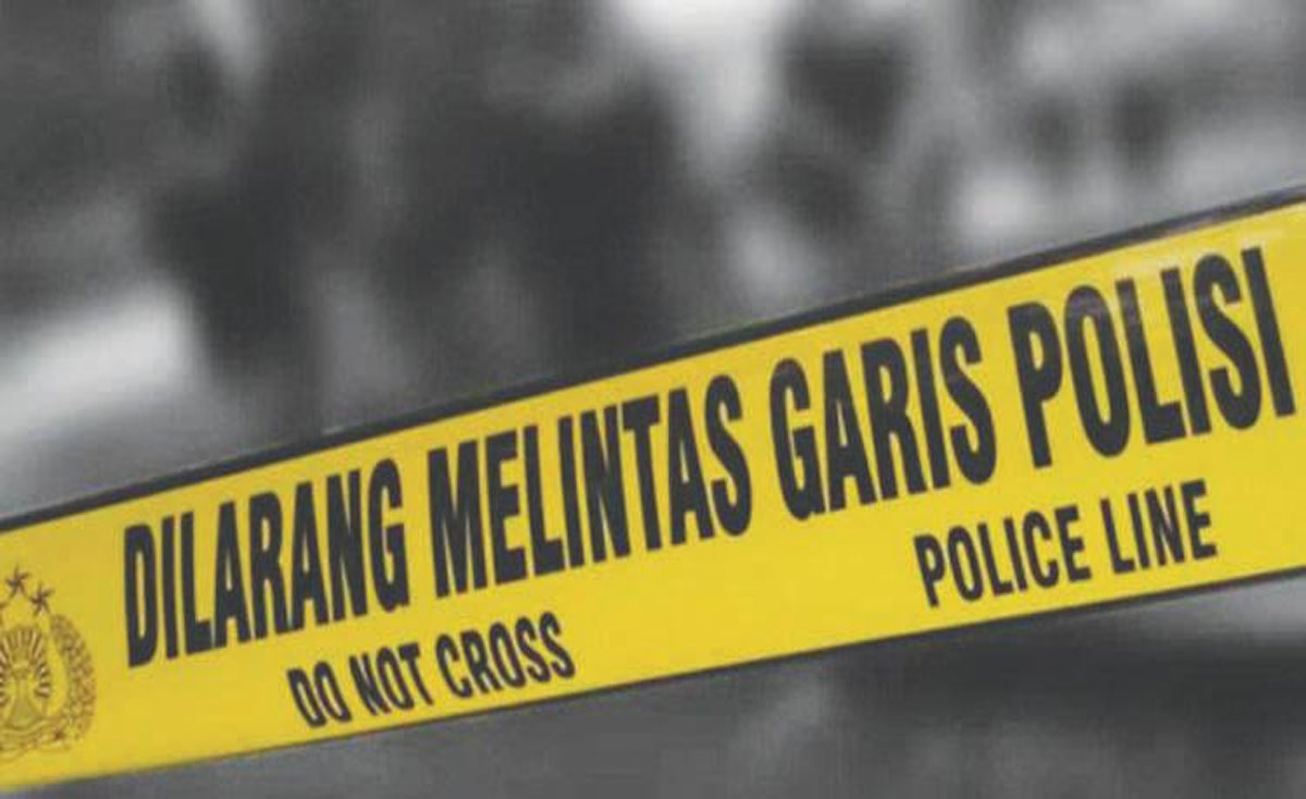 Garis-Polisi