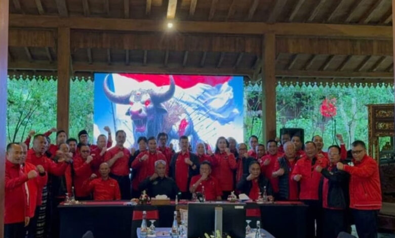DPP-PDIP
