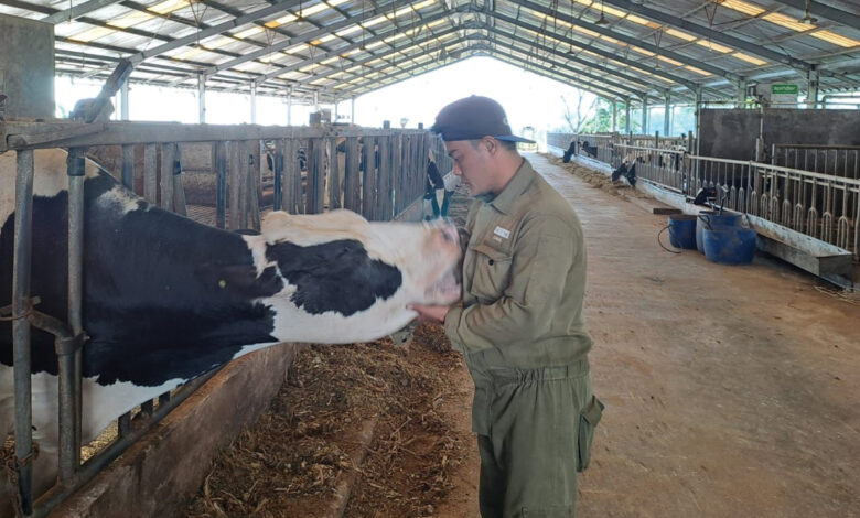 SAPI