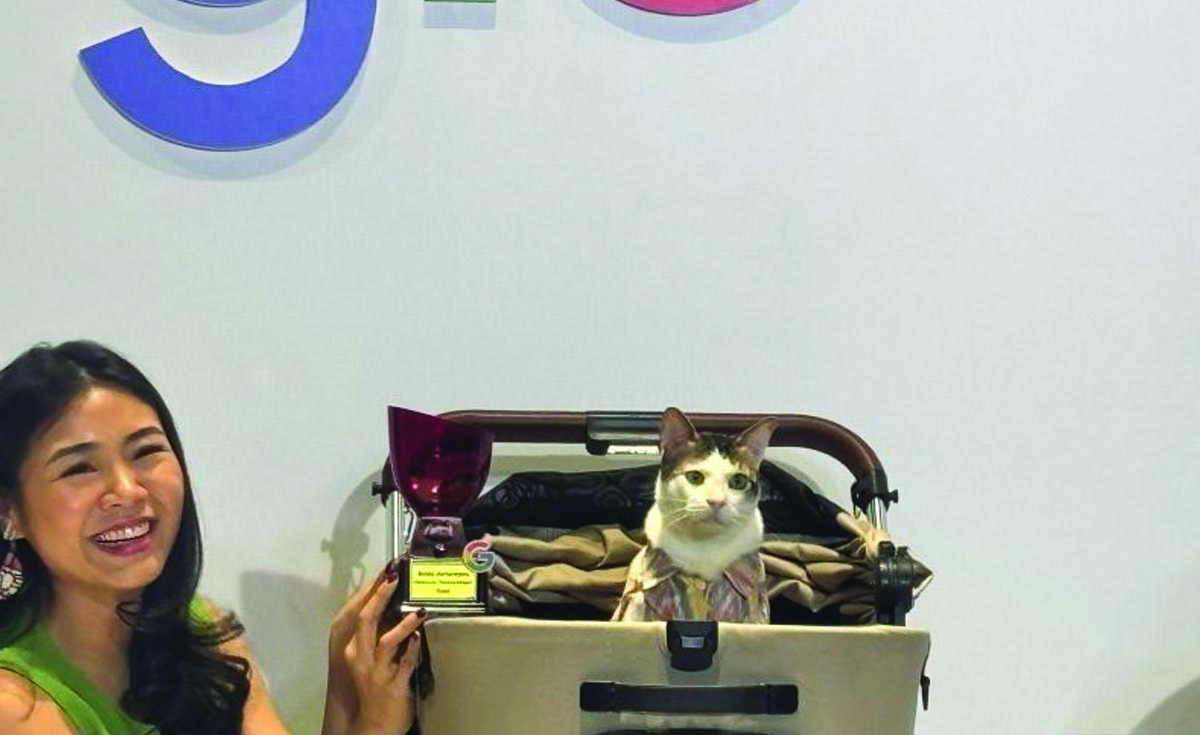 kucing
