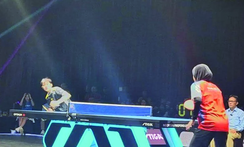 pingpong