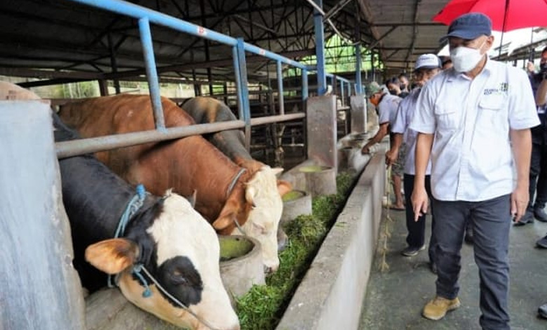 sapi-co