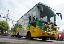 Bus