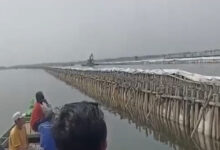 Pagar-Laut-2