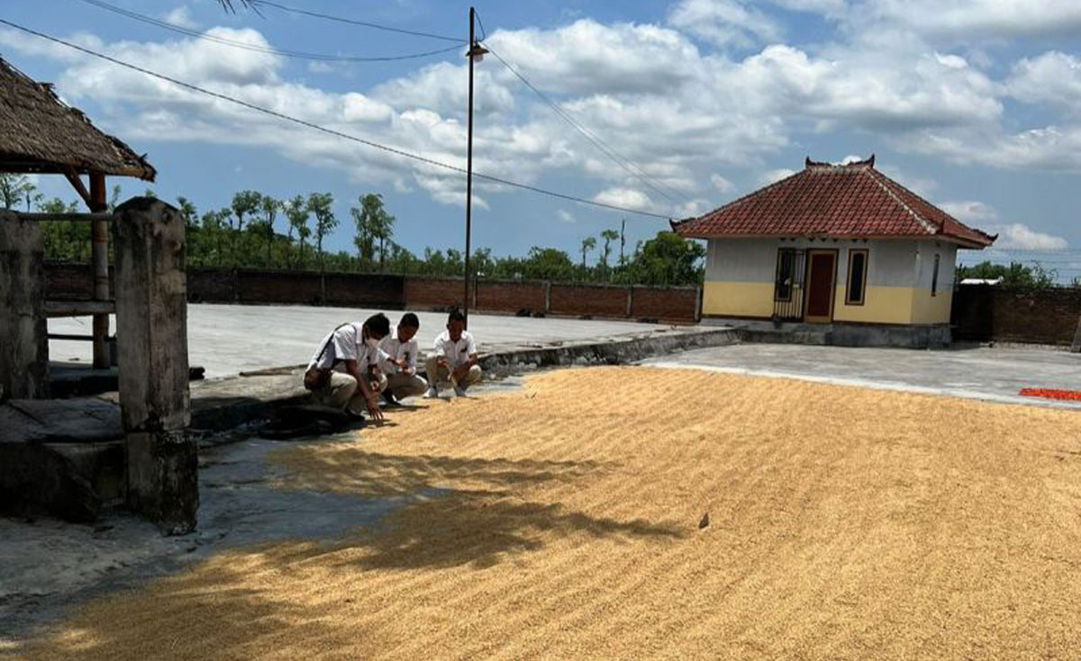 Petani-NTB