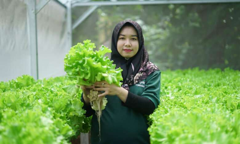 Sayuran