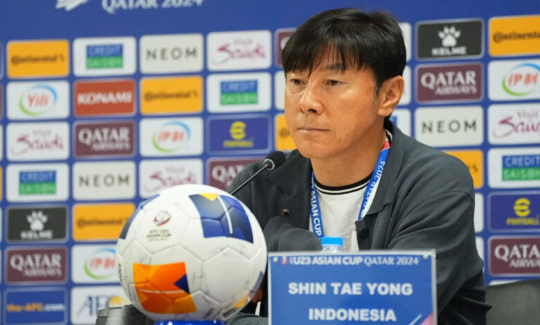 Shin-Ty