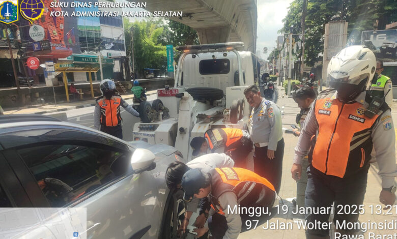 parkir liar