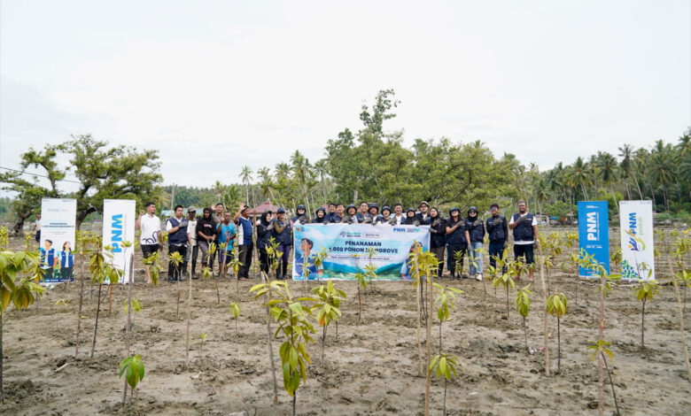 PNM-Mangrove