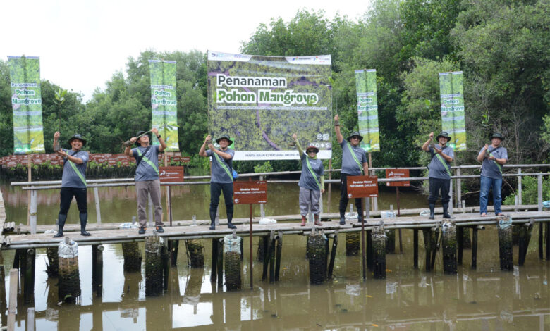 Tanam-Mangrove