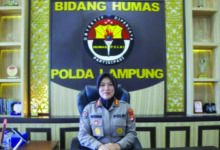 lampung