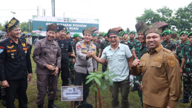 Aksi-Tanam-Pohon