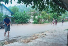 Banjir-Halmahera-Barat