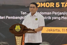 Dadan-K