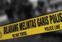 Garis-Polisi