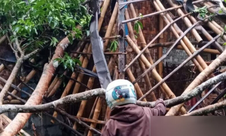 Pohon-Tumbang