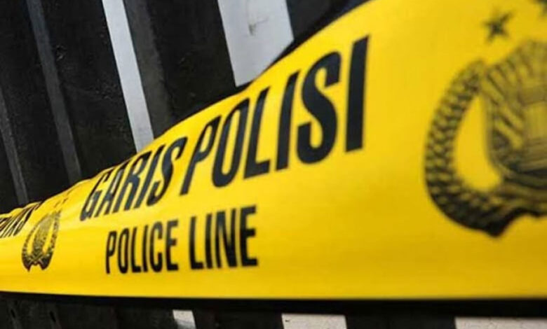 Polis-Line
