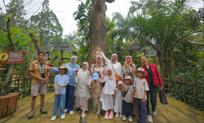Royal Safari Garden