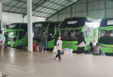 bus