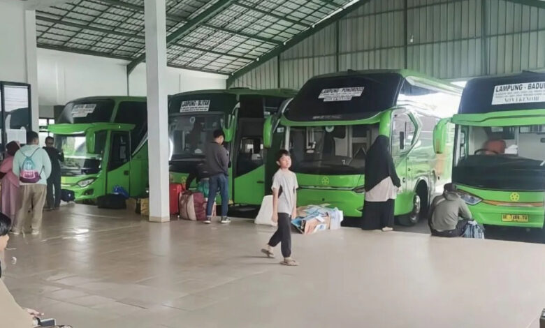 bus