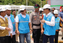 pln