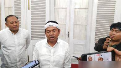 Dedi-Mulyadi